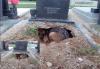 Ο πιο πιστός σκύλος στον πλανήτη! Ζούσε σε λάκκο μέσα στο τάφο του αφεντικού του!
